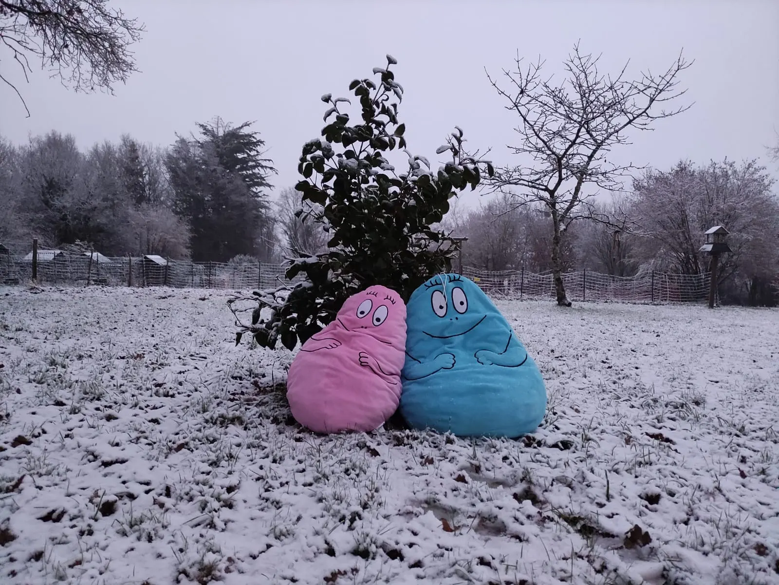 Deux peluches Barbapapa dans la neige