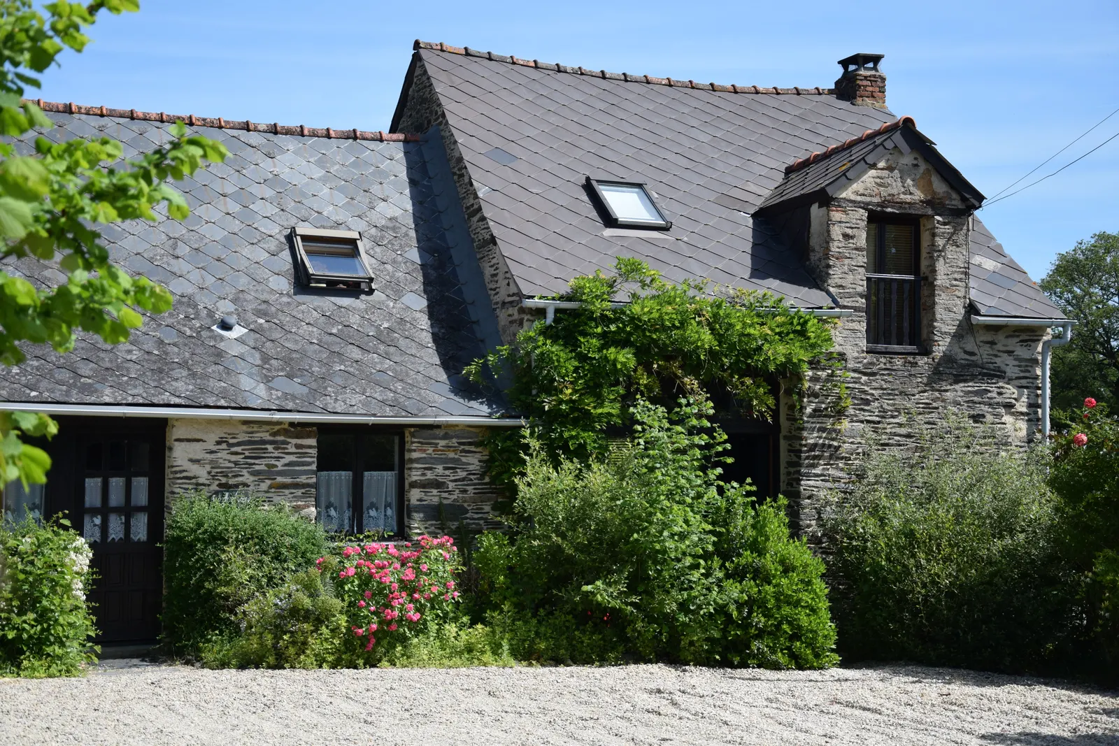 Habitation Wisteria